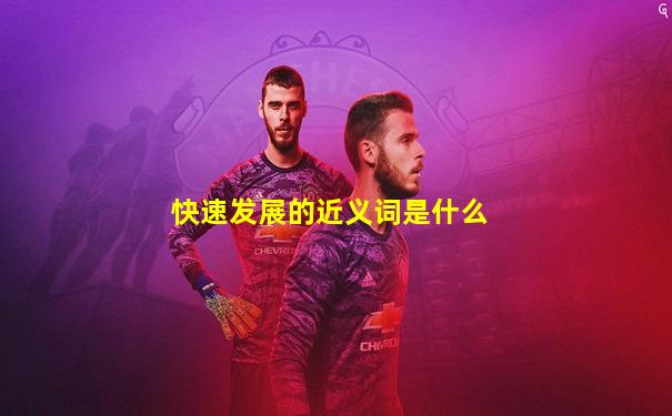 快速发展的近义词是什么